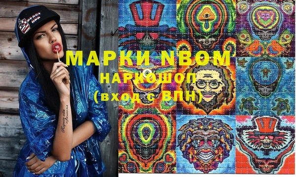 сатива Белоозёрский