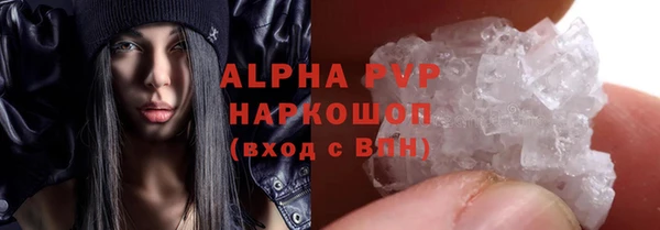 сатива Белоозёрский