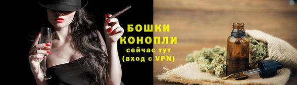 сатива Белоозёрский