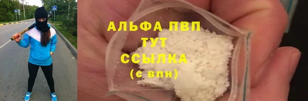 сатива Белоозёрский
