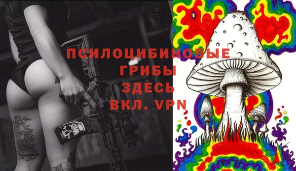 мет Белокуриха